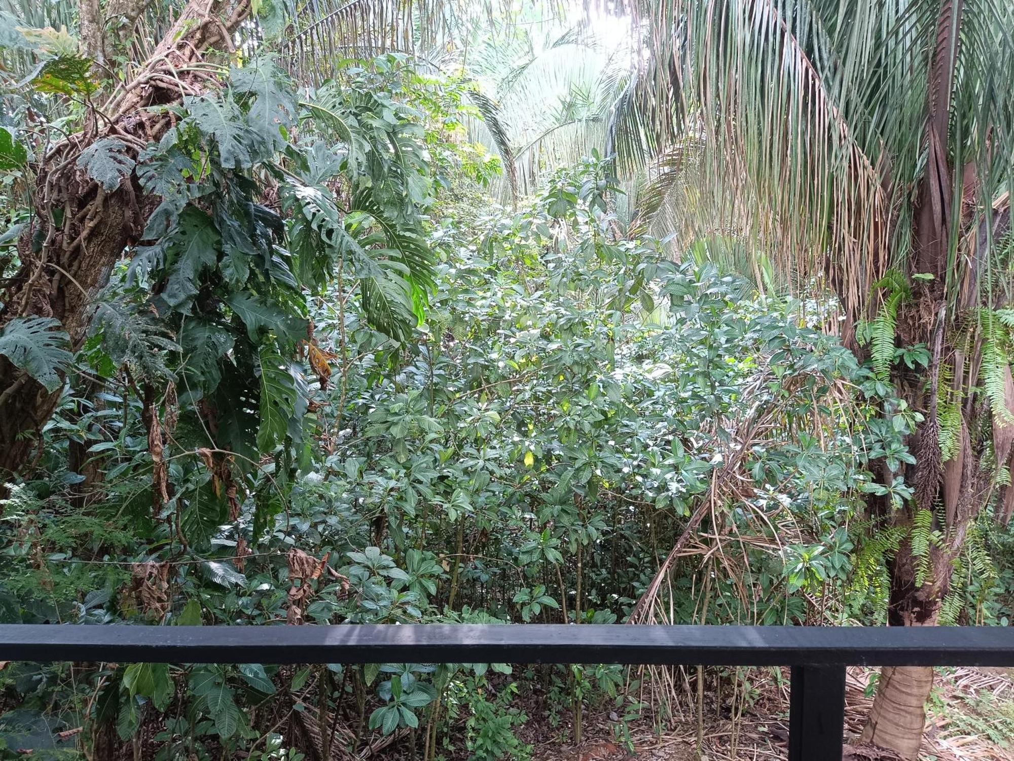 Selva Linda Lodge Vacation Rentals Quepos Eksteriør bilde