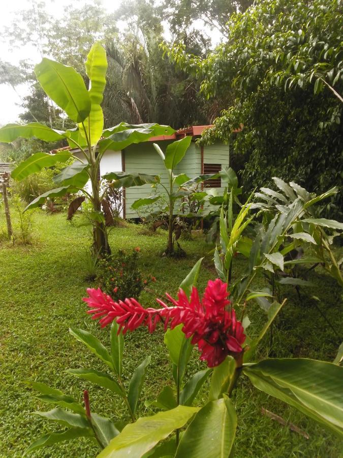 Selva Linda Lodge Vacation Rentals Quepos Eksteriør bilde