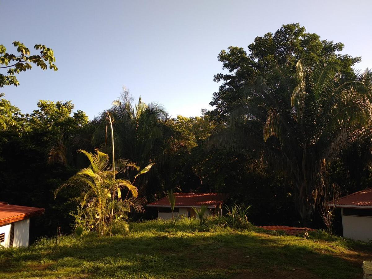 Selva Linda Lodge Vacation Rentals Quepos Eksteriør bilde
